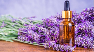 Todas las propiedades de la lavanda: su uso medicinal, terapéutico y por qué puede combatir el insomnio