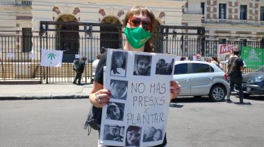 Marcha a Gobernación para pedir libertad a cultivadores de cannabis