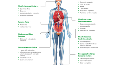 Día de la Amiloidosis Hereditaria por Transtiretina