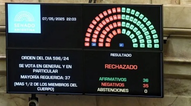 Ficha Limpia fue rechazada en el Senado y Milei apuntó contra la “casta”