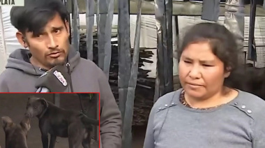 Ataque de perros en La Plata: hablaron los dueños de los pitbulls que habrían matado al nene de 2 años