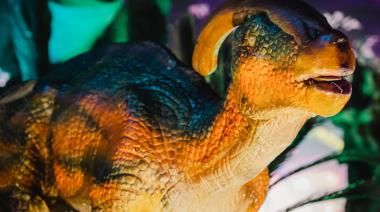 Tragedia en Vicente López: murió la beba que había nacido tras la muerte súbita de su madre en una exposición de dinosaurios