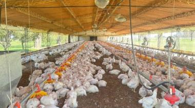 Dos ladrones asaltan granja avícola en El Peligro: el detalle del robo