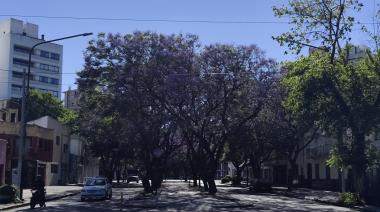 La Plata se prepara para una jornada calurosa: detalles del SMN