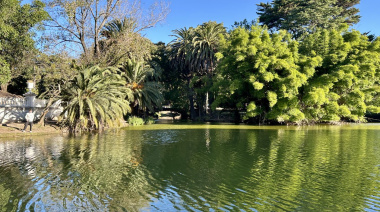 Alerta por la aparición de cianobacterias en La Plata