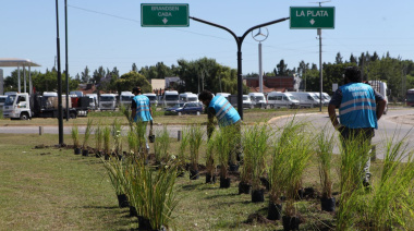 Lanzan nueva etapa de forestación en la emblemática Avenida 44 de La Plata