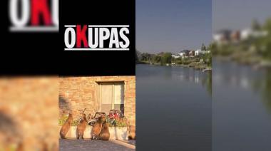 Vecinos del Nordelta se quejan por la superpoblación de carpinchos en la zona del Humedal: ¿quién es el intruso en realidad?