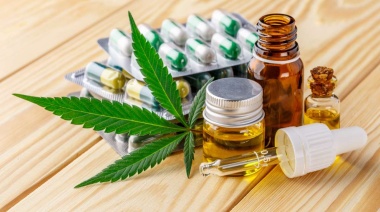 Aceite de cannabis y enfermedades: los beneficios para quienes sufren Lupus