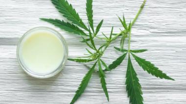 Cannabis y enfermedades: los beneficios para quienes sufren Psoriasis