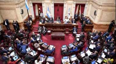 Media sanción a la creación de un fondo para pagarle al FMI con dinero fugado