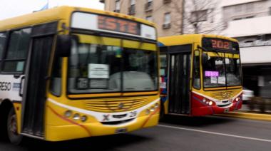 Paro de micros en el AMBA ¿afectará a La Plata?