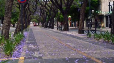 Hasta cuándo seguirá el frío en La Plata