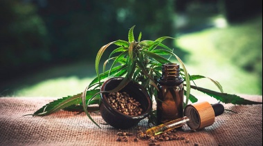 Cannabis en los deportes: cada vez es más común su uso para aliviar dolores