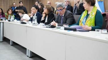 Fentanilo contaminado: Diputados avanzan con un pedido de informes y evalúan crear una comisión investigadora