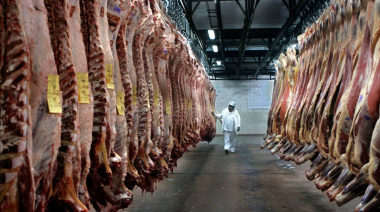 EE.UU. negocia cuadruplicar las importaciones de carne vacuna desde la Argentina