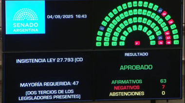 El Senado rechazó el veto de Milei y la Emergencia en Discapacidad se convirtió en ley