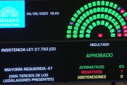 El Senado rechazó el veto de Milei y la Emergencia en Discapacidad se convirtió en ley