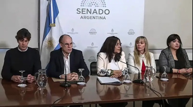 El Senado repudió las denuncias del Gobierno contra periodistas y alertó por un “atropello constitucional”