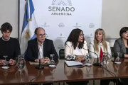 El Senado repudió las denuncias del Gobierno contra periodistas y alertó por un “atropello constitucional”