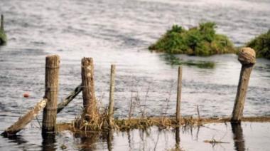 Carbap alerta sobre 3 millones de hectáreas afectadas en Buenos Aires