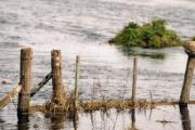 Carbap alerta sobre 3 millones de hectáreas afectadas en Buenos Aires