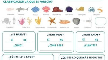 El streaming del Mar Argentino ahora tiene su propio álbum de figuritas digital para chicos
