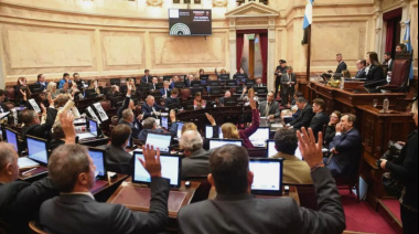El Senado aprobó las leyes previsionales y el Gobierno ya prepara el veto: ¿qué pasa ahora?