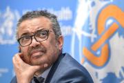 "Ahí donde hay guerra, hay también hambre y enfermedades", dijo el director de la OMS