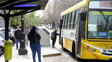 Nuevas tarifas de transporte público: cómo afectará en noviembre en La Plata
