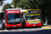 La Plata: el micro es gratuito para ir a votar este domingo