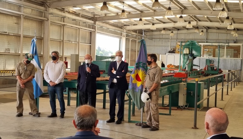 La Universidad de La Plata inaugura un centro de producción maderera dedicado a la investigación