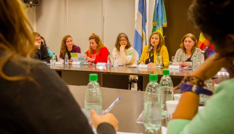 Estela Díaz: “El Consejo Consultivo es un ámbito que va a aportar fortaleza social y comunitaria”