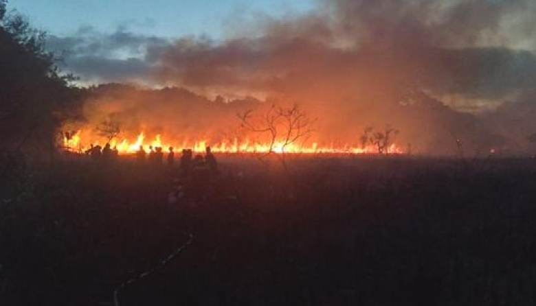 Incendio en la reserva forestal de Punta Lara