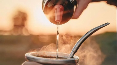 Investigaciones científicas demuestran que el mate es bueno para prevenir el cáncer de próstata