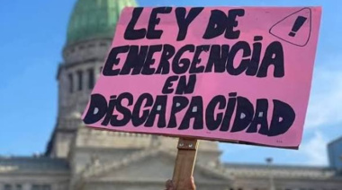 Emergencia en Discapacidad: ¿qué detiene al Gobierno tras su promulgación?