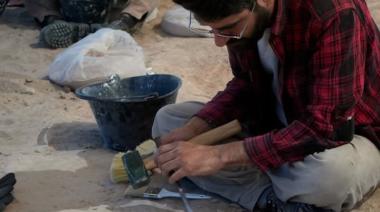 CONICET y UNLP presentan nuevos fósiles de Bonapartenykus en la Patagonia