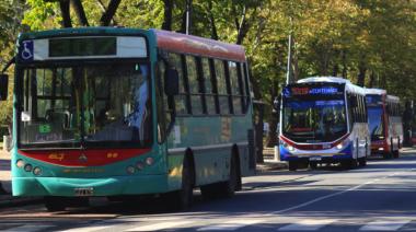 La Plata y su proyecto para instalar cabinas seguras en colectivos: detalles clave