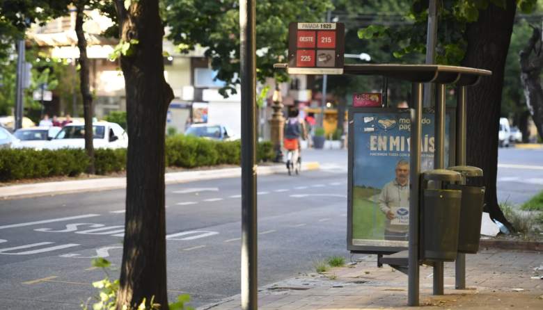 Paro de micros en La Plata y el AMBA: cómo afecta el transporte este ...