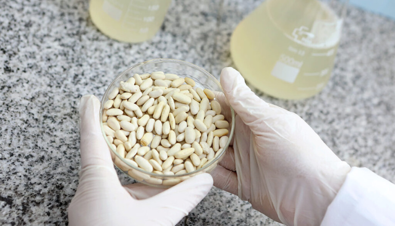 ¿Tirás el agua de los porotos? La UNLP descubrió que puede ser clave para alimentos saludables