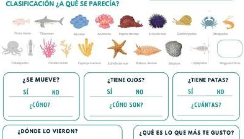 El streaming del Mar Argentino ahora tiene su propio álbum de figuritas digital para chicos
