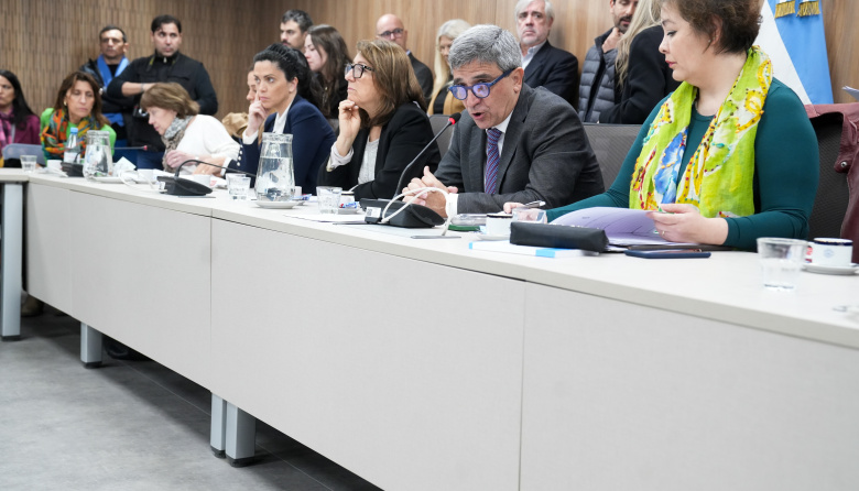 Fentanilo contaminado: Diputados avanzan con un pedido de informes y evalúan crear una comisión investigadora
