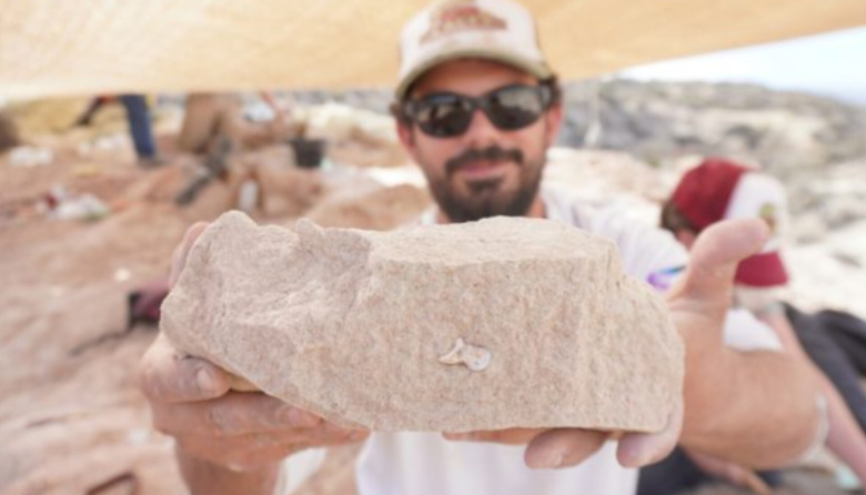 Paleontólogos argentinos buscan dinosaurios en vivo desde la Patagonia