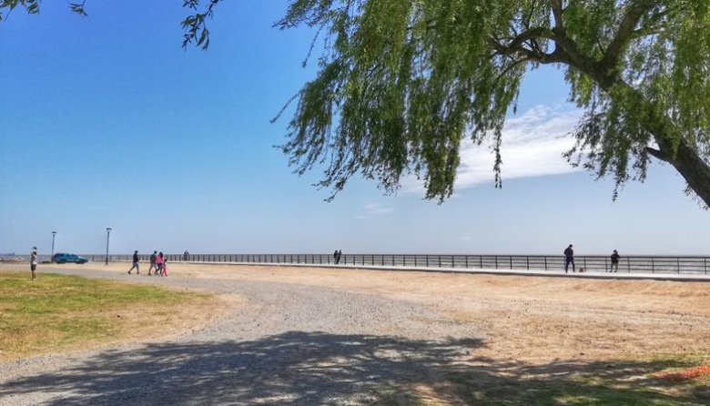 Encontraron muerto a un hombre ex inspector de tránsito en Punta Lara