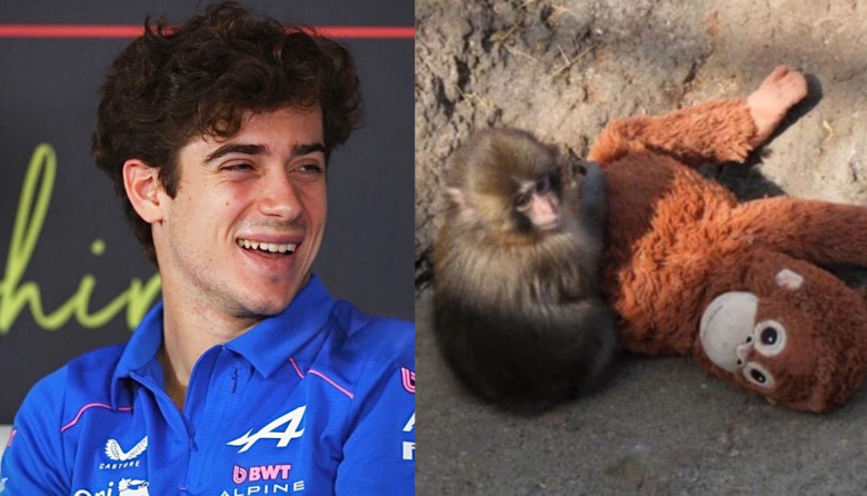 Colapinto reveló cuál es su “imperio romano”: el monito Punch