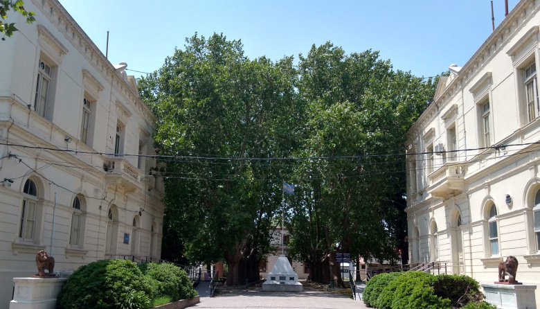 Facultad de Ciencias Veterinarias: Sara Williams fue elegida decana