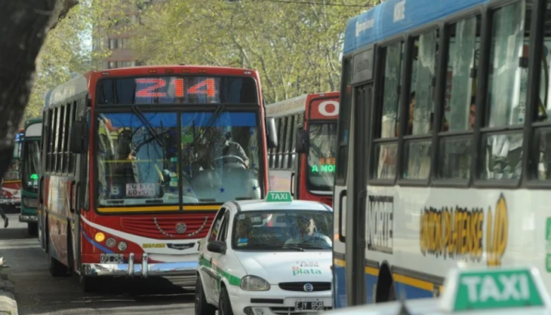 Frecuencia reducida: empresas de micros advierten pérdidas millonarias