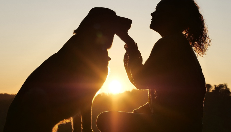 Día del Animal: por qué se celebra el 29 de abril en Argentina