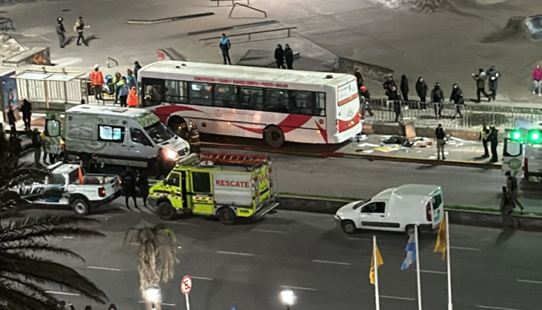 Conmoción en Mar del Plata: un colectivo se subió a la vereda del skatepark y dejó una mujer muerta