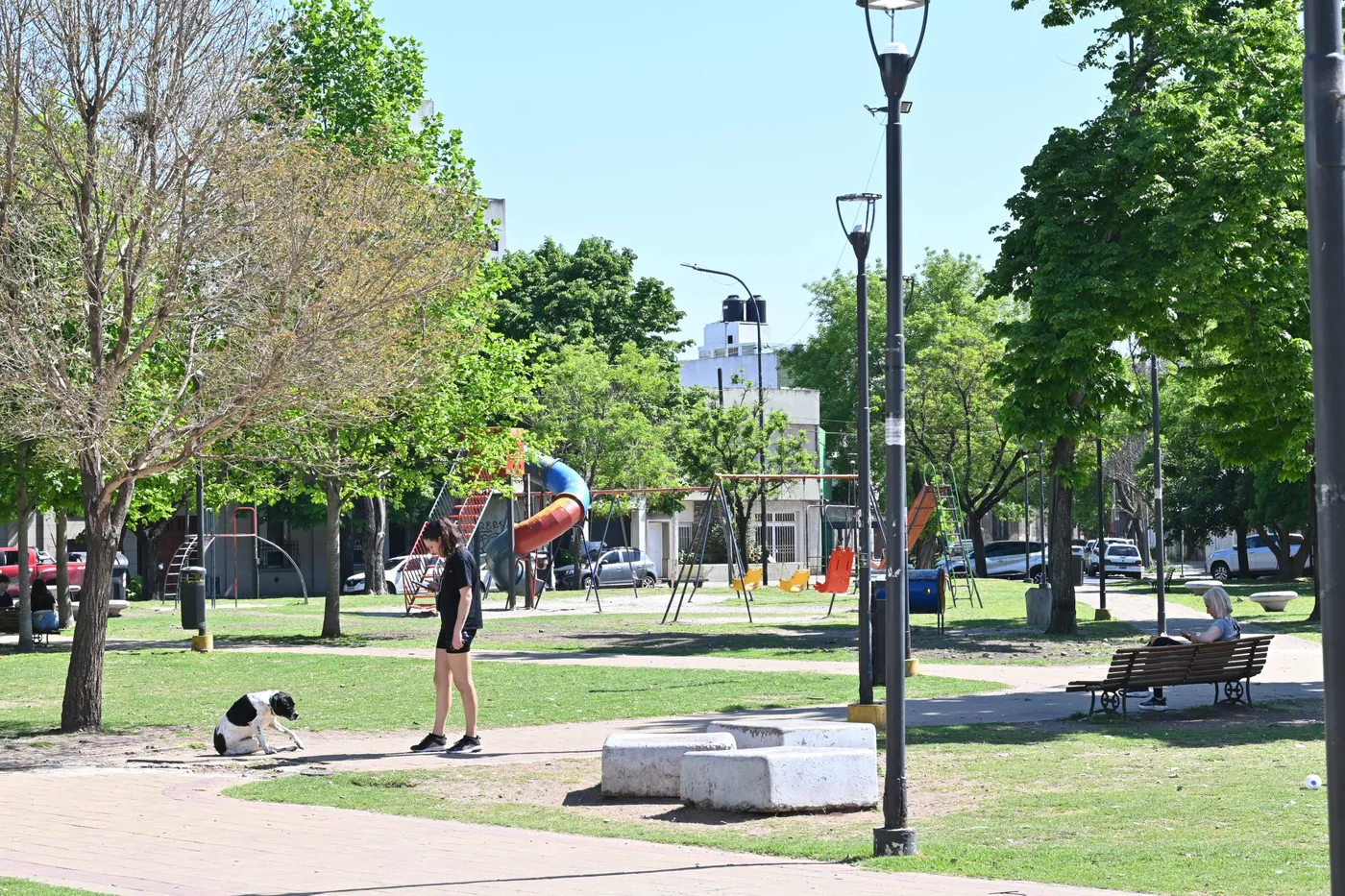 La Municipalidad de La Plata abrió las ofertas para licitar el corte de pasto, barrido y limpieza de zanjas
