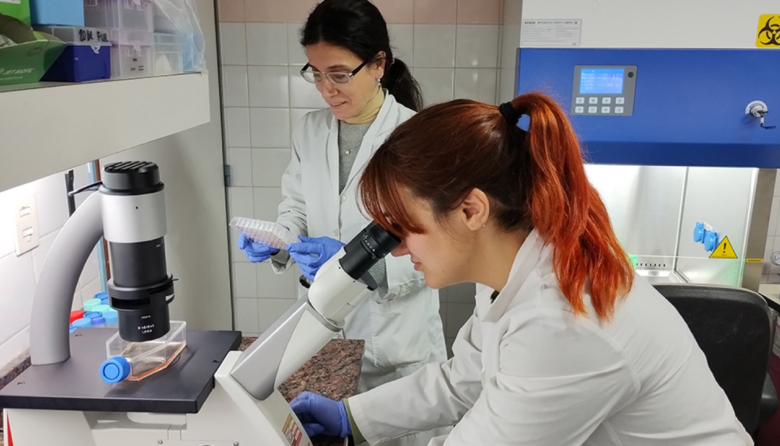 La Academia Nacional de Ciencias alertó por la fuga de cerebros en el sistema científico